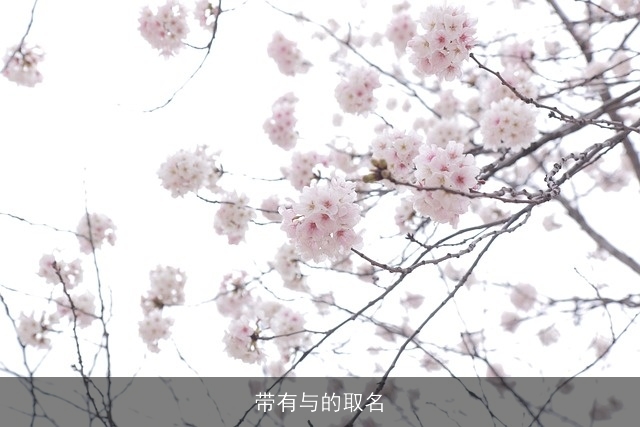 带有与的取名