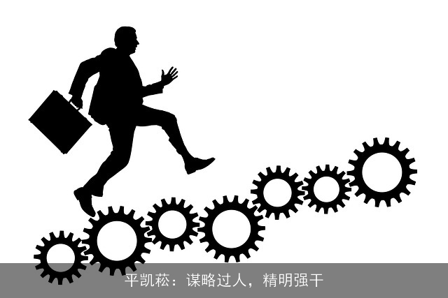 平凯菘：谋略过人，精明强干