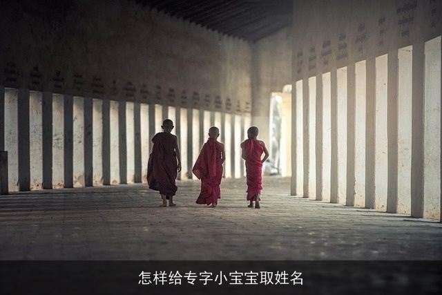 怎样给专字小宝宝取姓名