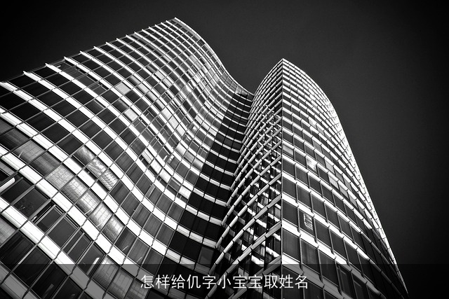 怎样给仉字小宝宝取姓名