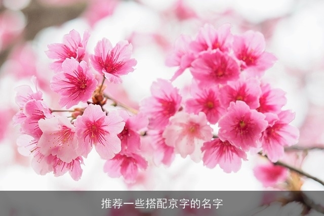 推荐一些搭配京字的名字