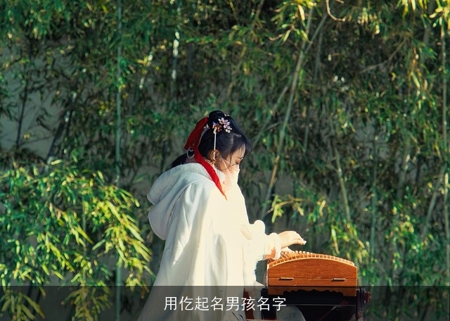 用仡起名男孩名字