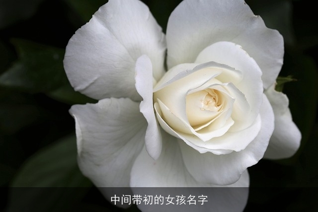 中间带初的女孩名字