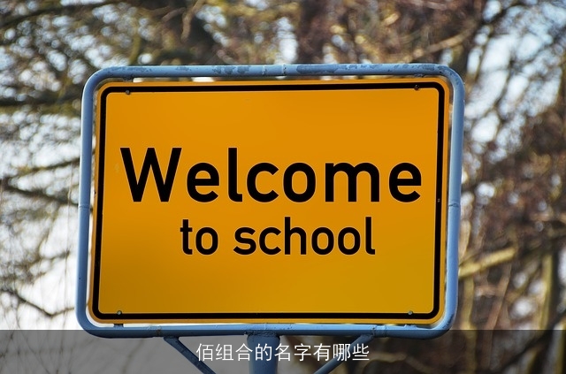 佰组合的名字有哪些