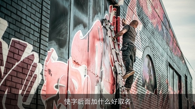 使字后面加什么好取名