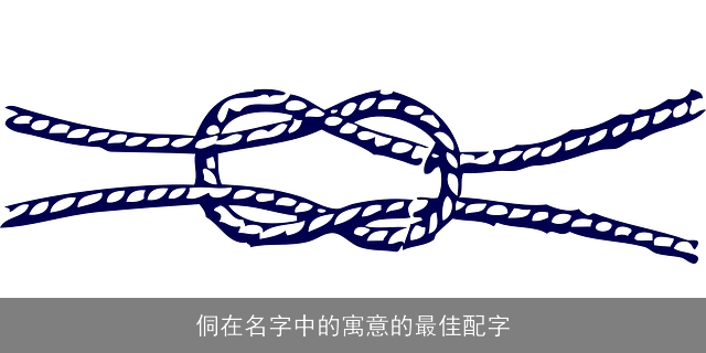 侗在名字中的寓意的最佳配字