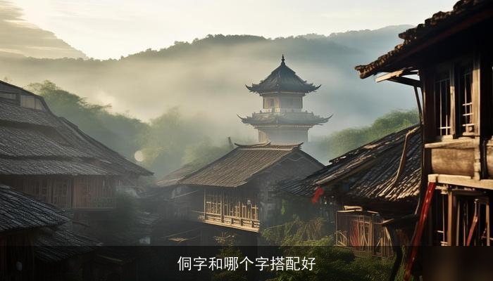 侗字和哪个字搭配好