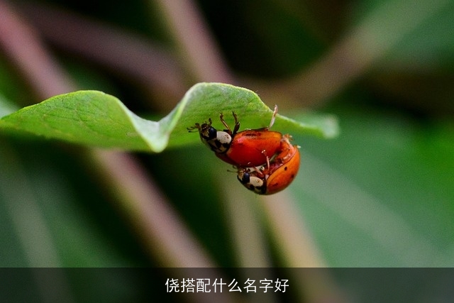 侥搭配什么名字好