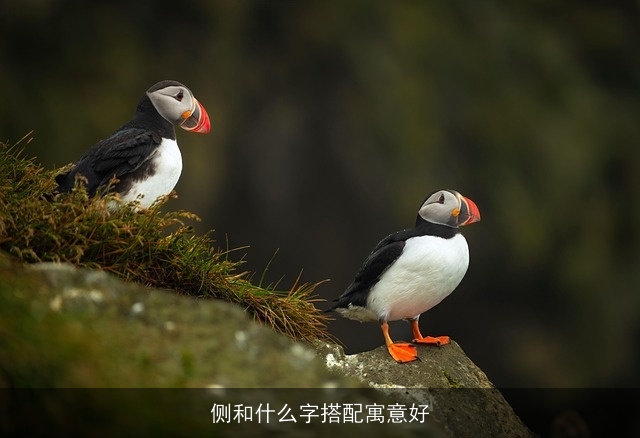 侧和什么字搭配寓意好