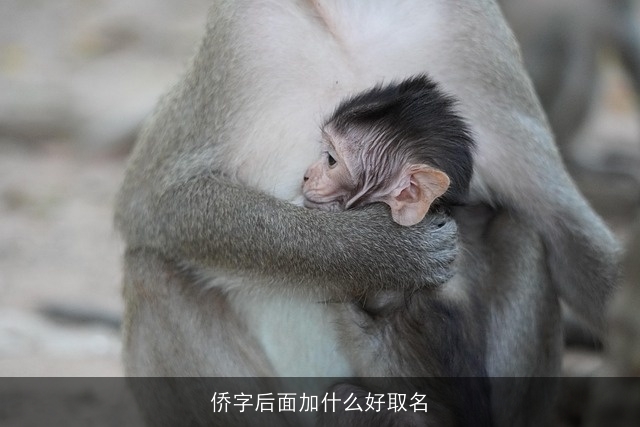 侨字后面加什么好取名