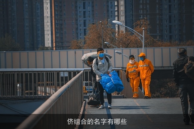 侪组合的名字有哪些