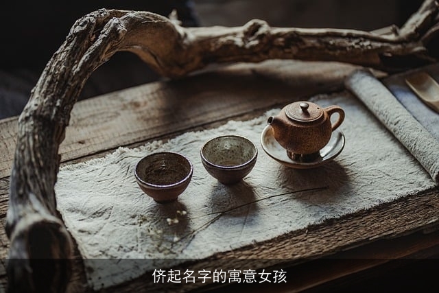 侪起名字的寓意女孩
