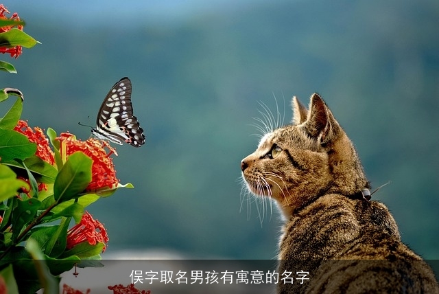 俣字取名男孩有寓意的名字