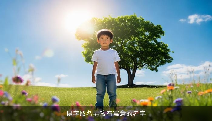俱字取名男孩有寓意的名字