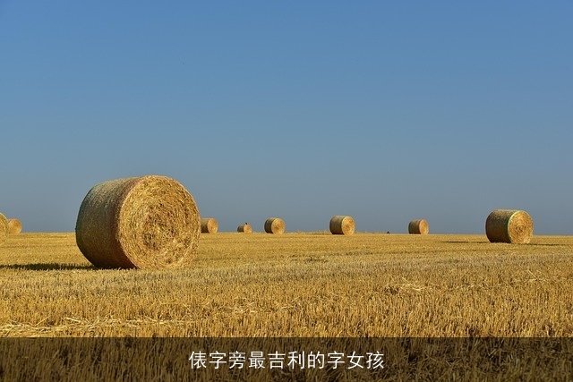 俵字旁最吉利的字女孩