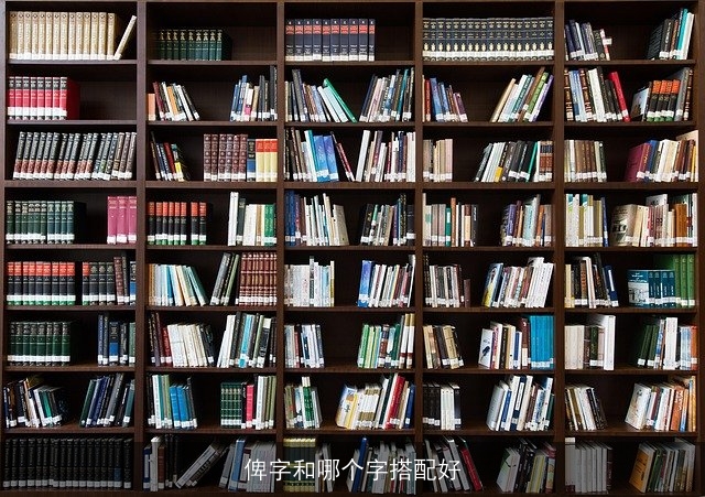 俾字和哪个字搭配好