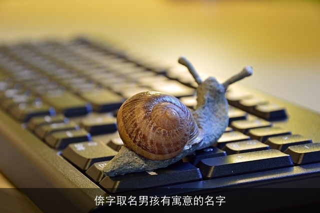 倴字取名男孩有寓意的名字