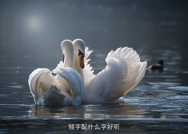 倾字配什么字好听