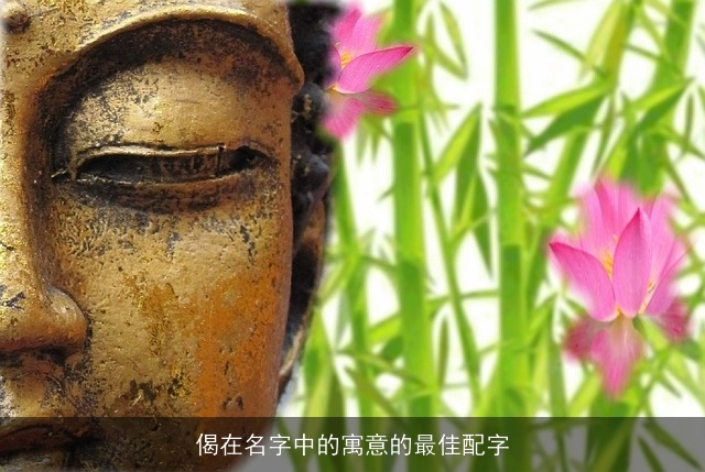 偈在名字中的寓意的最佳配字