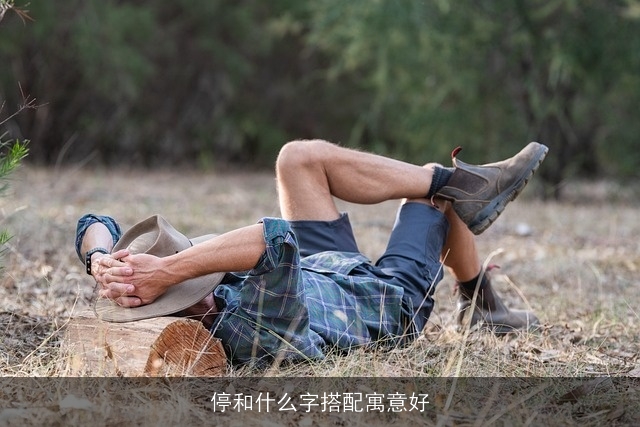 停和什么字搭配寓意好