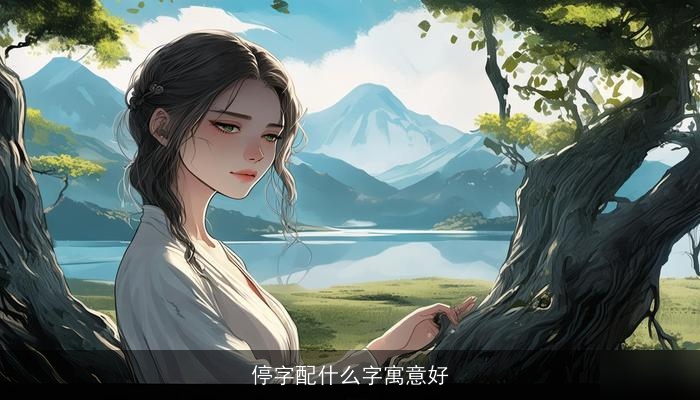 停字配什么字寓意好