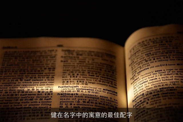 健在名字中的寓意的最佳配字