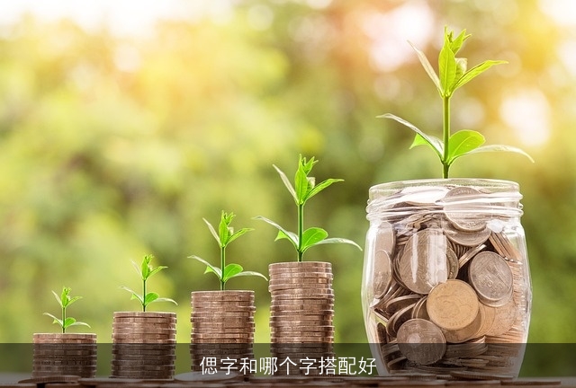 偲字和哪个字搭配好