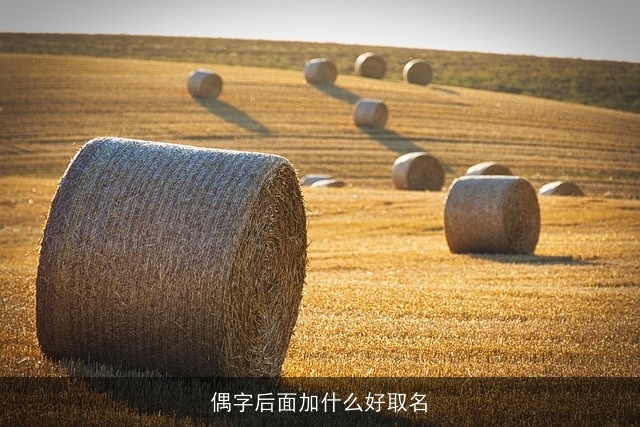 偶字后面加什么好取名