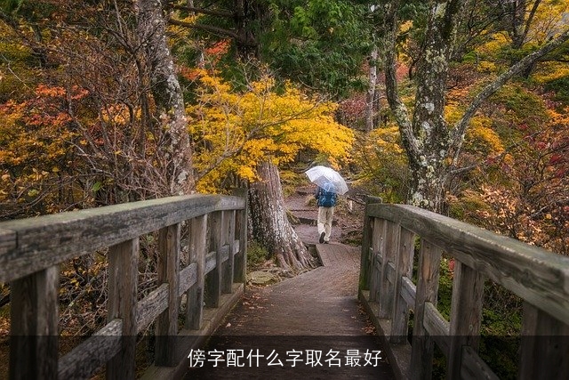 傍字配什么字取名最好