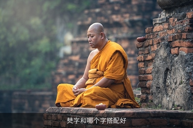僰字和哪个字搭配好