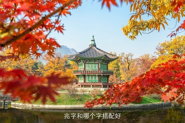 兆字和哪个字搭配好