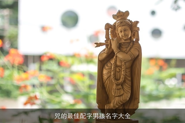 兕的最佳配字男孩名字大全
