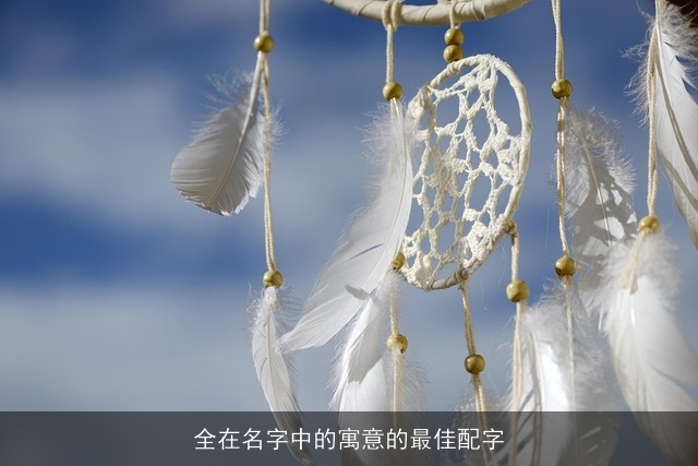 全在名字中的寓意的最佳配字