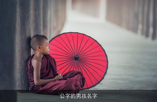 公字的男孩名字