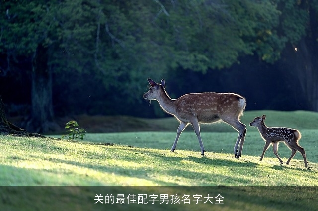 关的最佳配字男孩名字大全