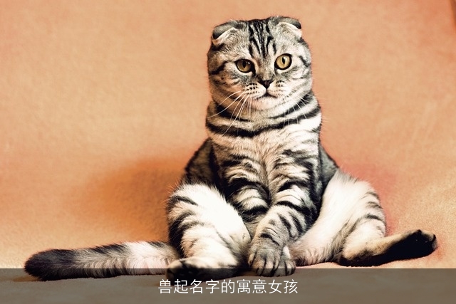 兽起名字的寓意女孩