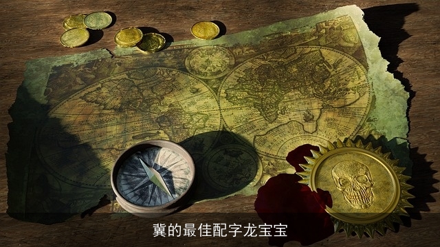 冀的最佳配字龙宝宝