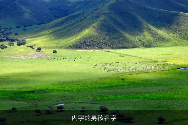 内字的男孩名字