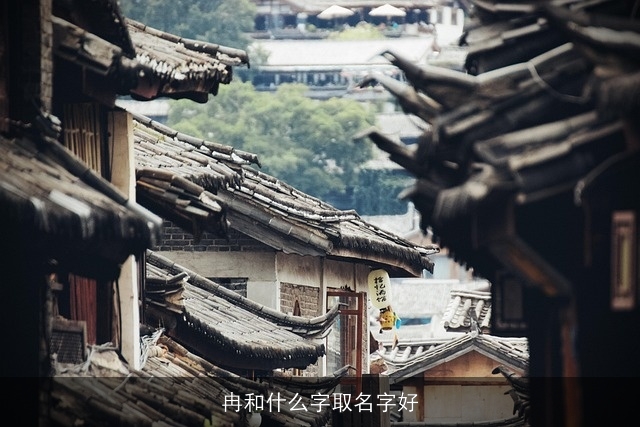 冉和什么字取名字好