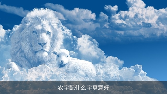 农字配什么字寓意好