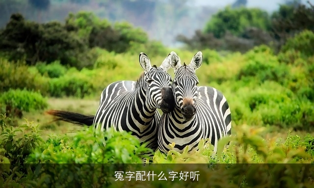 冤字配什么字好听