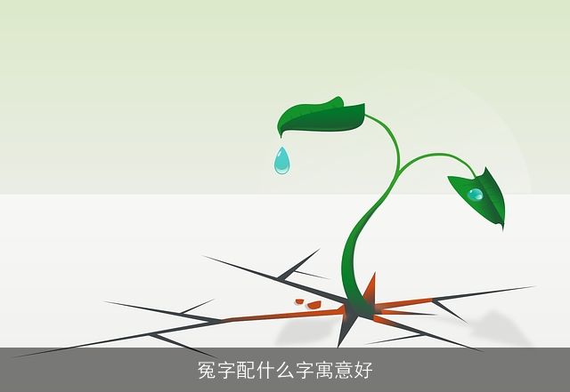冤字配什么字寓意好