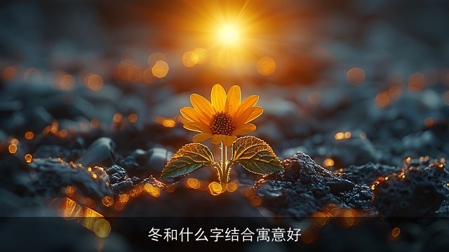 冬和什么字结合寓意好