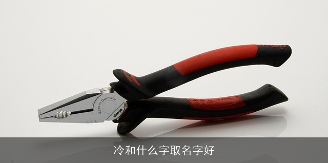 冷和什么字取名字好