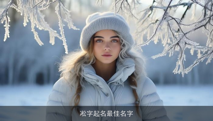凇字起名最佳名字