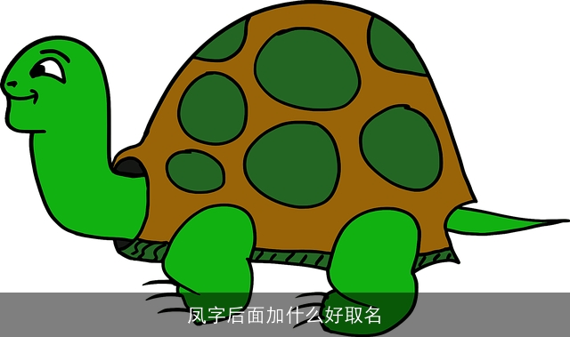 凤字后面加什么好取名