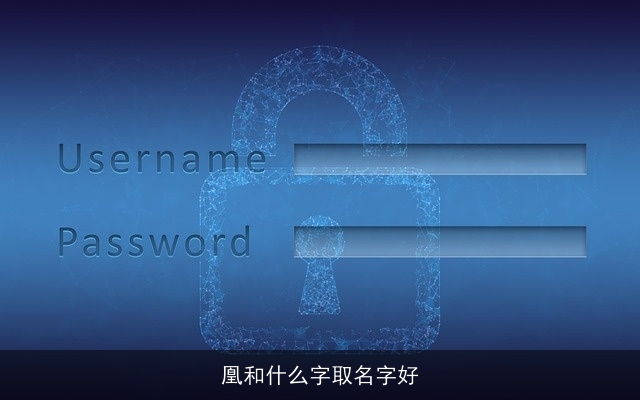 凰和什么字取名字好