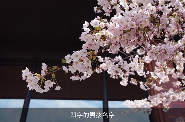 凹字的男孩名字