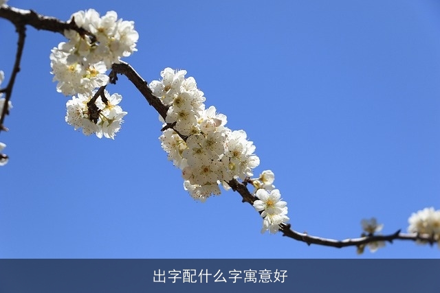 出字配什么字寓意好