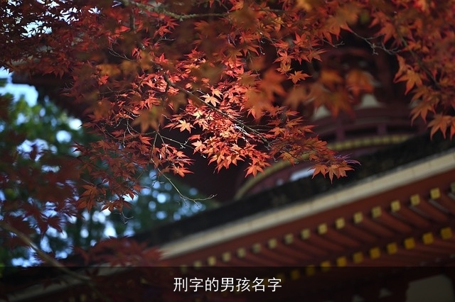 刑字的男孩名字